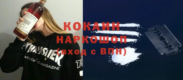 стаф Балахна