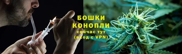PSILOCYBIN Богородицк