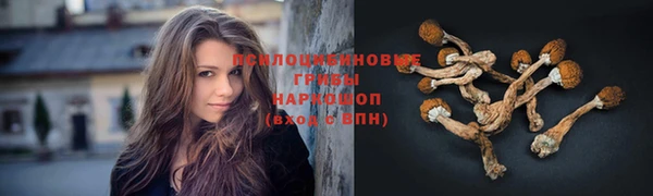 соль ск Баксан