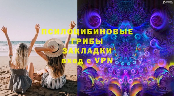 стаф Балахна